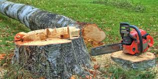 Best Emergency Tree Removal  in Lake Summerset, IL